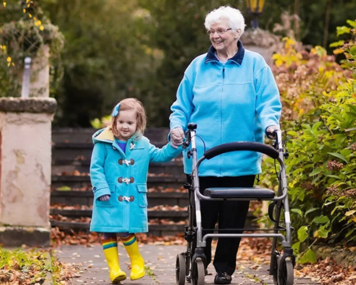 Rollator Walkers